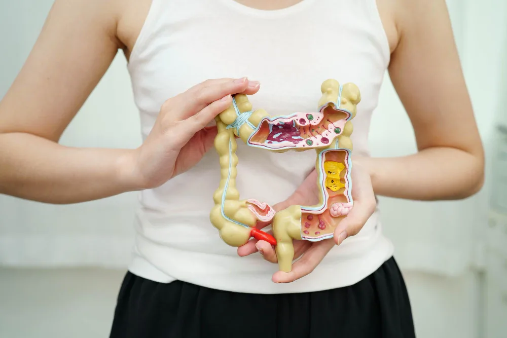 Padecimientos del intestino, colon e intestino delgado